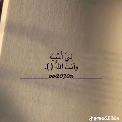 sb678sb's profile picture. ستُمطر أُمنياتنا يومًا كهدايا من رب السماء."💛🥀