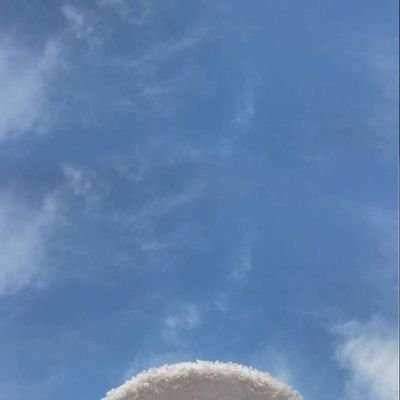 tutorial_33's profile picture. my daily diary