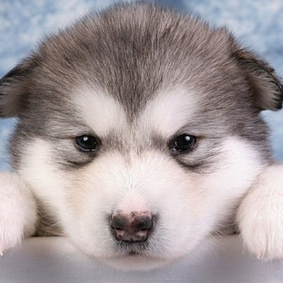 JennyLIFO182021's profile picture. 