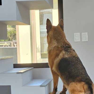 devingridm's profile picture. Comentarista de reality show nas horas vagas 🤷🏻‍♀️