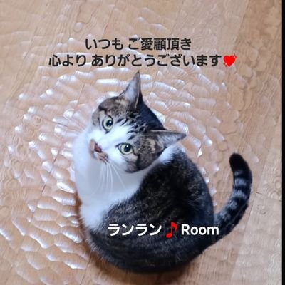 🌱楽天Room🌱
@ランラン🎵コレクション
👝楽天市場でお買い物
https://t.co/ZFpdkVebcc
🌱楽天ラクマ🌱
kuromi903’sshop💗
中古フリマ🎽👠👜
https://t.co/UZ9583DQ2Z