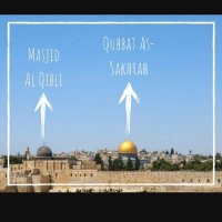 I stand with Palestine 🇵🇸🇵🇸🇵🇸 (@soofiya_noor) 's Twitter Profile Photo