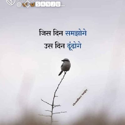 pappanthakur4's profile picture. Hi i am a rider