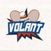 Volant 🏸 (@volantpisay) Twitter profile photo Volant 🏸 (@volantpisay) Twitter profile photo