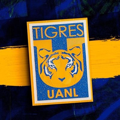 TIGRES MI PASIÓN EL SKA MI DIVERSION Y EL ROCK MI DISTRACCIÓN.