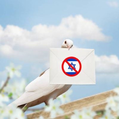 I speak 5 languages, so get the facts they hide from you. Zionists killed the pigeons in the Tower of Palestine. Don't lie to the world!
#Palestine