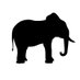 SAFARI FRANK (@werforwild) Twitter profile photo SAFARI FRANK (@werforwild) Twitter profile photo