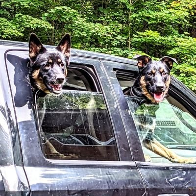 davialam987's profile picture. 