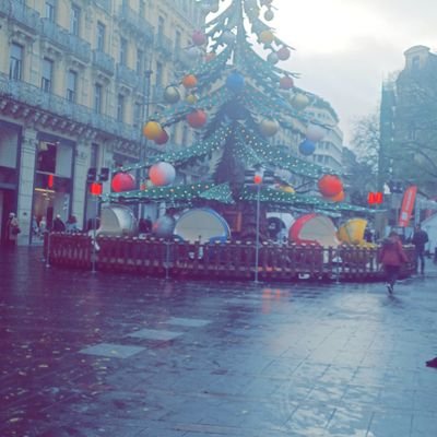 Redjjjjjjjj's profile picture. 