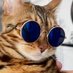 dilo (@diloscat) Twitter profile photo dilo (@diloscat) Twitter profile photo