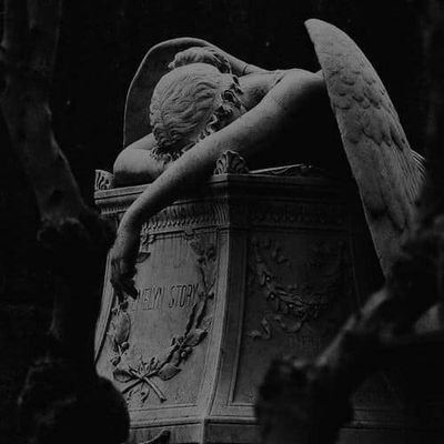 MikaelSegaly's profile picture. I am from peru 
I am 23 years old 
I dedicate myself to study
second year of university
single, since some people care about looks and money