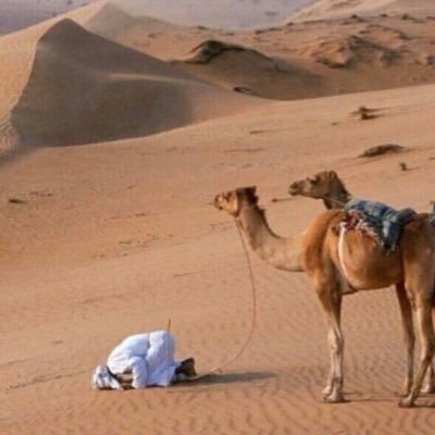 iicr66's profile picture. 