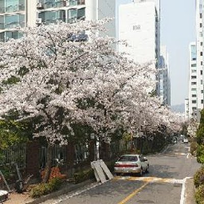 JyKim73756's profile picture. CV & Robotics engineer