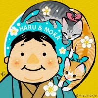 ひなたぼっこぼこ (@hinatabokkopoka) Twitter profile photo