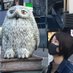 木村真実子(QuizKnock) (@mkimura_qk) Twitter profile photo 木村真実子(QuizKnock) (@mkimura_qk) Twitter profile photo