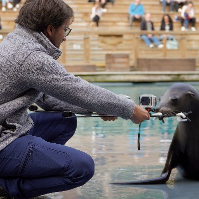 PhD Student ENES lab : https://t.co/JVpnV1JwDL / @NeuroPSI_saclay | @beauvalnature | Physiology and Biology - Ethology - Olfaction - Pinnipeds