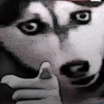 SandersRac32800's profile picture. 