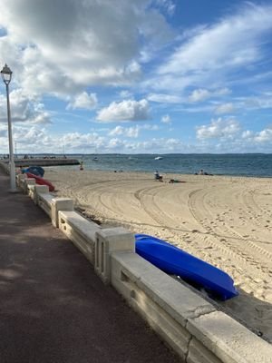 PinasseWayne's profile picture. Français de France
🇲🇫🇲🇫🇲🇫🇲🇫🇲🇫🇲🇫🇲🇫
Soutien à Israël 
🇮🇱🇮🇱🇮🇱❤️🇮🇱🇮🇱🇮🇱
Soutien total à nos agriculteurs 🚜
Pro Trump🇺🇲