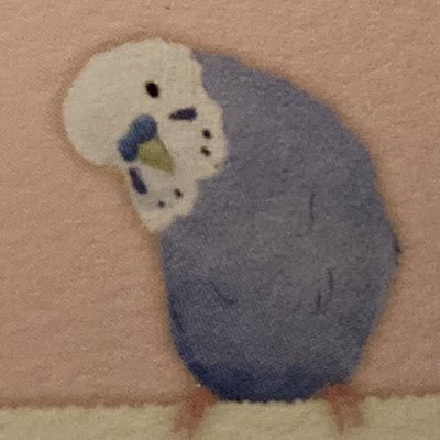 toritoriinsan's profile picture. 鳥さん、特にセキセイインコ、シロハラインコ、インコちゃん全般大好きです🦜 主にいいね、リツイート、皆様のツイに癒されています💕 無言フォローお許しくださいませ🕊 #鳥好きさんと繋がりたい