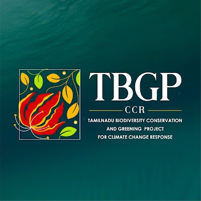 TBGPCCR FOREST