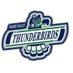 Fraser Valley Thunderbirds AAA (@FVTBirds_AAA) Twitter profile photo