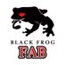 BLACKFROG Flesh and Blood部門 (@Blackfrog_fab) Twitter profile photo