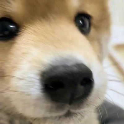 XIANSherry67866's profile picture. 