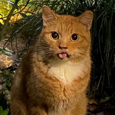 273_274_275's profile picture. 受信歴40年に突入です。が、ひさしぶりに戻ってきたら...。