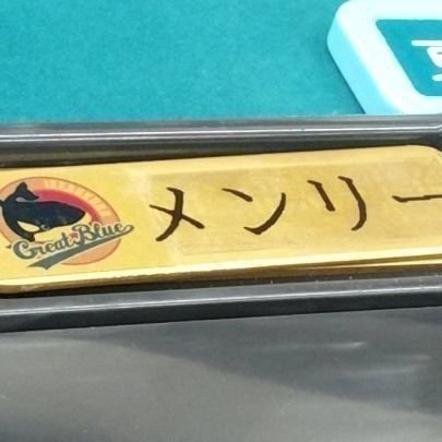 至高のﾋﾚｶﾂｱﾔﾁｬﾝ　メンリー(メンゼンでリーチするとは言っていない)　フリー麻雀を主食に生きてます、一応普通に働いてます。新橋ニコニコ常勤、Jewel上野店常勤。
えーん、かじりさー( ＞Д＜；)　
たまにnote書いてるです→https://t.co/cQgCn0vrJd