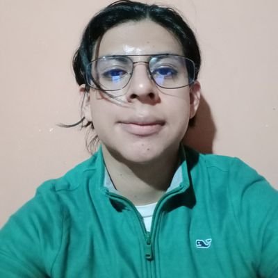 Estudiante de Ingeniería en Ciencias y Sistemas • Junior Developer web Bv • C/C++ Bv • Debian/GNU Linux ❤️