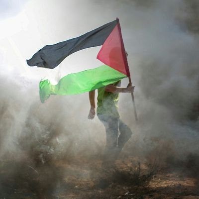 eyasirkhan's profile picture. Oracle Database Administrator (DBA) | My SQL Server 5.2, 5.6 | Microsoft Office Edition 2016 | Web Designer | Website Developer | WordPress Developer