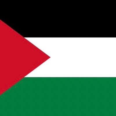 martelomocro's profile picture. The Dutch BMI coach