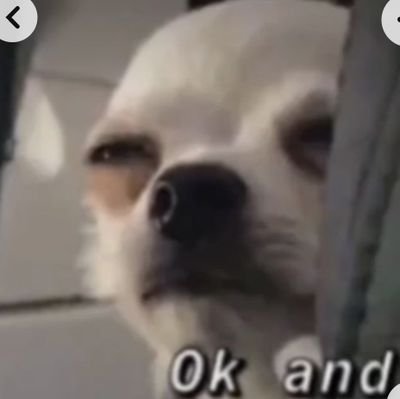 @noone__asked