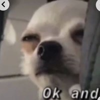 nooneasked (@noone__asked) 's Twitter Profile