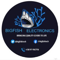 Bigfishtelectronics zm ๐ฟ๐ฒ (@bigfishtech2) 's Twitter Profile