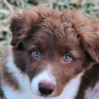 Tatzu98 (@tatzu982) 's Twitter Profile