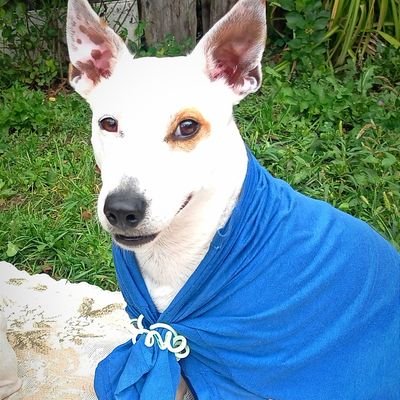 V_84_Baidakov's profile picture. Мастер спорта по ремонту...