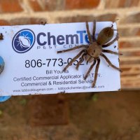 Lubbock ChemTec(@lubbockbugman) 's Twitter Profile Photo