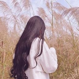 satoshayl41158's profile picture. 