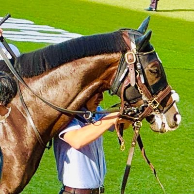 🥕無言フォロー失礼いたします🙇♀️🙇 馬券も買いますが🐎撮影🐎グッズ集めも好きです✨走る姿に感動😭 推しは #タイトルホルダー 💚💛🖤 #レッドモンレーヴ ❤️🤍 #笹川翼 #小林美駒 #佐々木大輔 #菅原明良 #ティルナノーグ #パラディオン #スターサンサルー💙💚