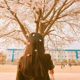 sareneasl732's profile picture. 