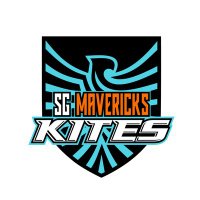 SG Kites(@SG_Kites) 's Twitter Profile Photo
