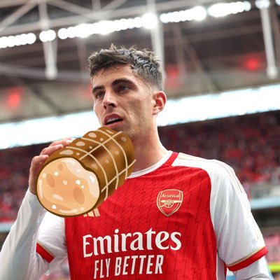 chasyu_havertz's profile picture. 05 15／16から見てる大学生グーナー@arsenal @harry_styles @onedirection @PostMalone 24/25からバイエルンとアーセナルの兼サポ @FCBayern