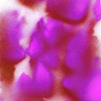 Hovenbet (@therealhovenbet) 's Twitter Profile
