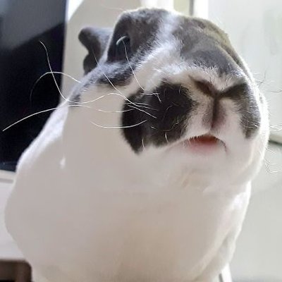 aaaaagetam's profile image