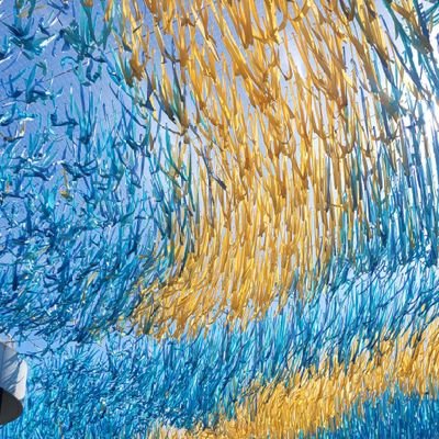 ceylon03333's profile picture. We will always find the way.