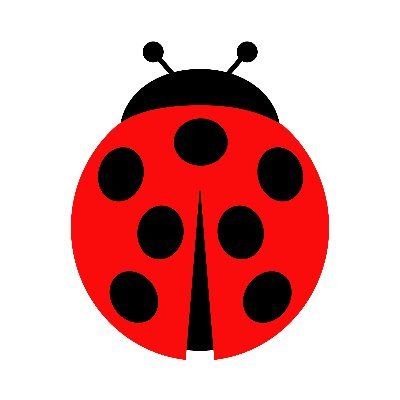 ladybird_yata Profile Picture