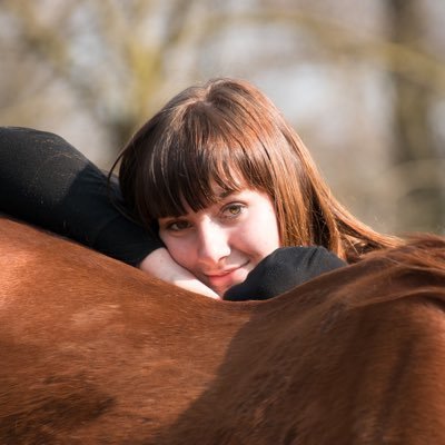 Pure blood Texan. Mil brat. Horses. Wide range of interests. Old account cancelled. 🚫DM 🚫Trains