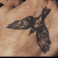 Marie 974 (@ceus974) 's Twitter Profile