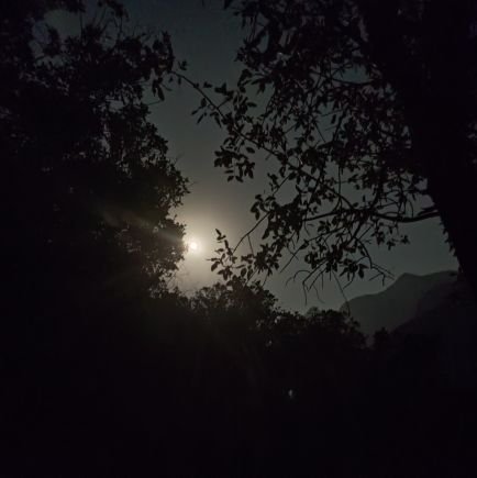 devlnull's profile picture. software engineer; dotnet developer